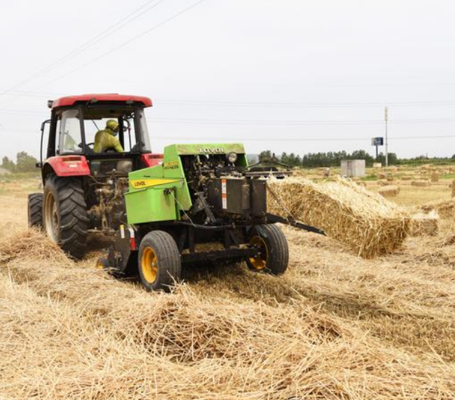 定西市在临洮县推进秸秆资源化利用