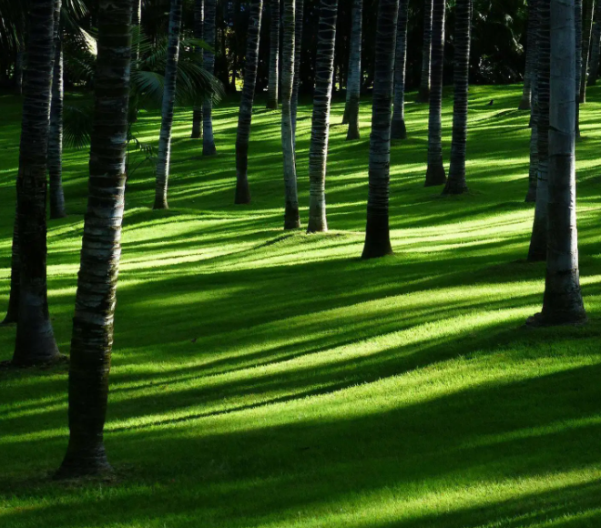 生态系统“减排固碳”有多强