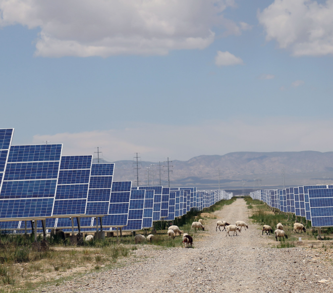 前8个月青海太阳能电池出口同比劲增42倍